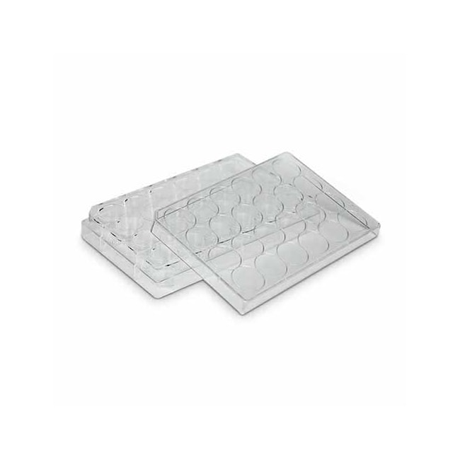 Placa Para Cultura de Células 24 Poços Kasvi-33cf4622-2777-43ad-972f-d2f93cc02e42