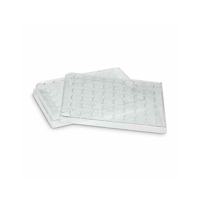 Placa Para Cultura de Células 48 Poços Kasvi-96ca4c1b-04c5-4f08-a5b4-1bcd35fa0dbc