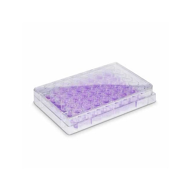 Placa Para Cultura de Células 48 Poços Kasvi-d3818016-2604-4a1d-99bd-bd2dbfe18f83