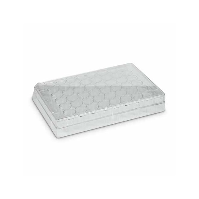 Placa Para Cultura de Células 48 Poços Kasvi-3a3cf7d3-041e-47c1-b2ff-c8c575bcee77