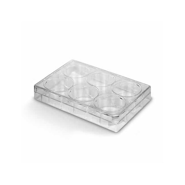 Placa Para Cultura de Células 6 Poços Kasvi-72e191c0-11f6-48e0-8f36-eb2148c93fa0