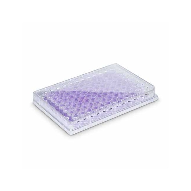 Placa Para Cultura de Células 96 Poços Kasvi-773d8ff5-57d1-4fe2-b178-4d7cf62e5497