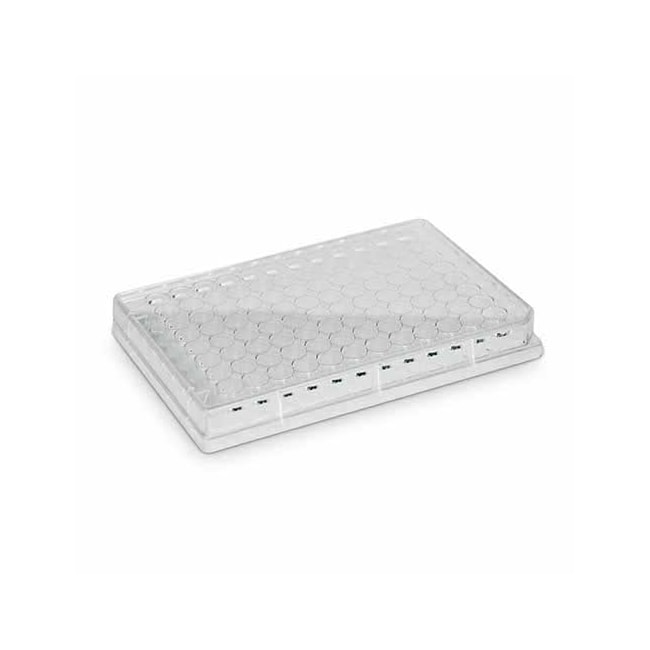 Placa Para Cultura de Células 96 Poços Kasvi-83104f0e-d63b-4658-9b06-d544ca293e7b