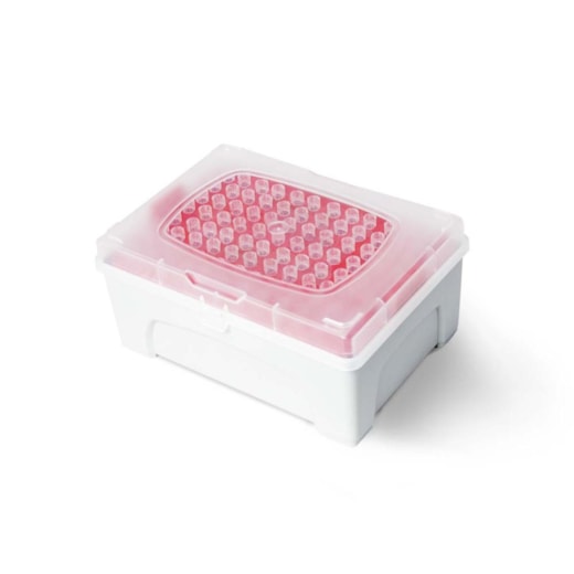 Ponteira Com Filtro Livre de Rnase e Dnase 1-10µL Longa  Rack com 96 Unidades