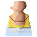 Reto com Patologias-1941a059-250f-44b1-9b65-87e8f8e3988e