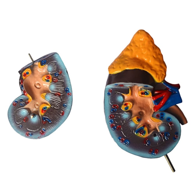 Rim 2 Partes-6dda146d-3a72-4173-8c87-ede4060e547e