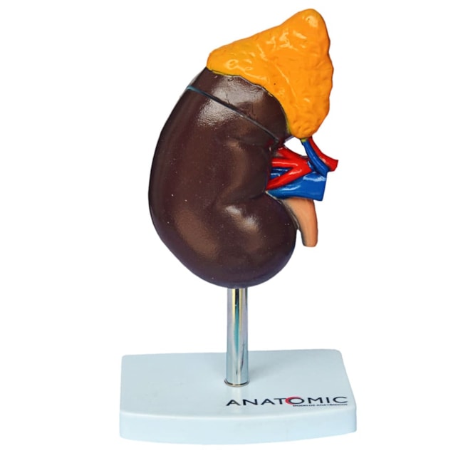 Rim 2 Partes-c0c6bb2d-0888-4903-b1b5-6d996b414a3d