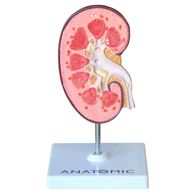 Rim com Patologias-9599acee-1771-4b7f-bfc9-13e37f4fbe87