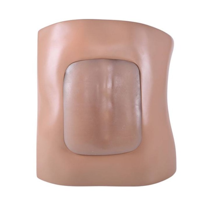 Simulador Adulto para Treinamento de Punção Lombar Guiada por Ultrassom-5b390491-f148-4109-9bda-a18f5deae8b6