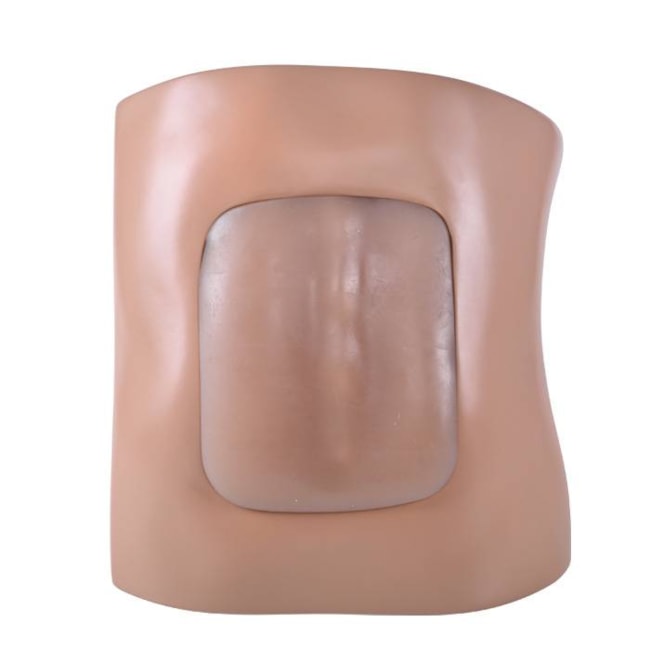 Simulador Adulto para Treinamento de Punção Lombar Guiada por Ultrassom-0196b5ea-d2ac-45ec-b646-255ae1357054