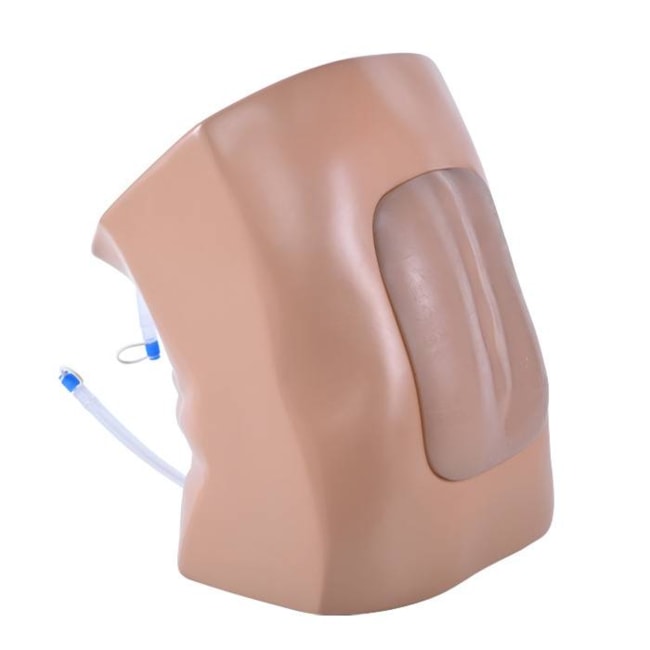 Simulador Adulto para Treinamento de Punção Lombar Guiada por Ultrassom-01ad3e9c-8bf3-4086-8744-2051edb933b7