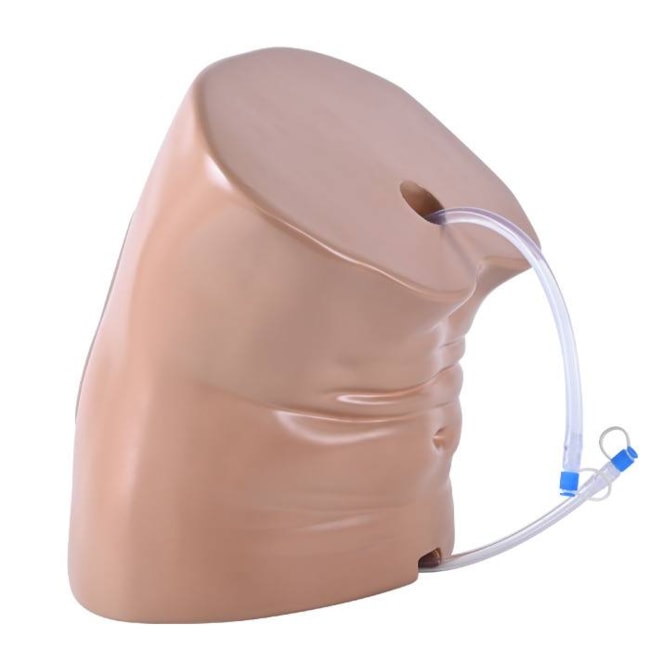 Simulador Adulto para Treinamento de Punção Lombar Guiada por Ultrassom-9e9f47de-5e87-4489-96ad-a7f4badb4f28