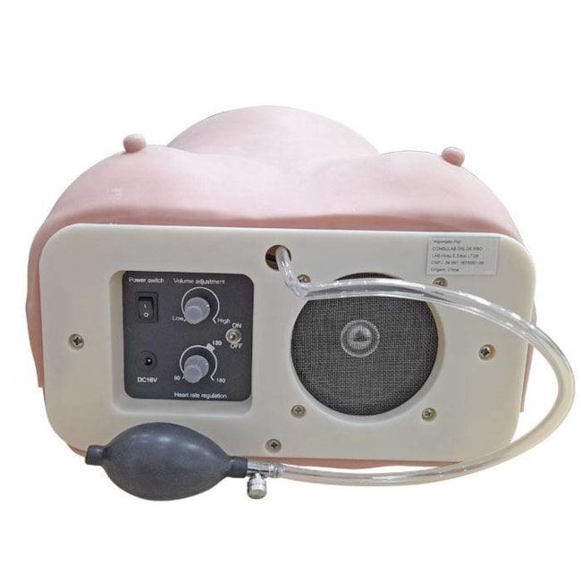 Simulador Avançado de Exame Materno para Treinamento Obstétrico-ae76420a-f3ee-413b-9e4b-20aad7fefe00