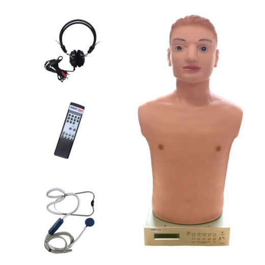 Simulador Avançado Torso para Habilidades Médicas de Ausculta Cardiopulmonar com controle Remoto
