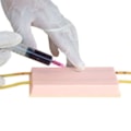 Simulador Básico para Treino de Injeção Endovenosa-422d939d-3721-44fe-a27a-73487a5a2133