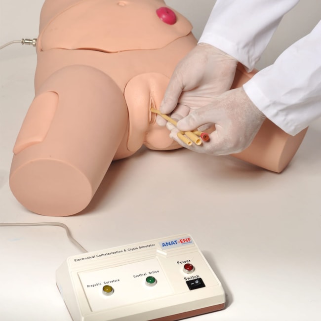 Simulador de Cateterismo Vesical Bissexual, com Dispositivo de Controle e Cuidados com Colostomia-e318fc16-b2f1-4439-bb95-a856bd7d5120