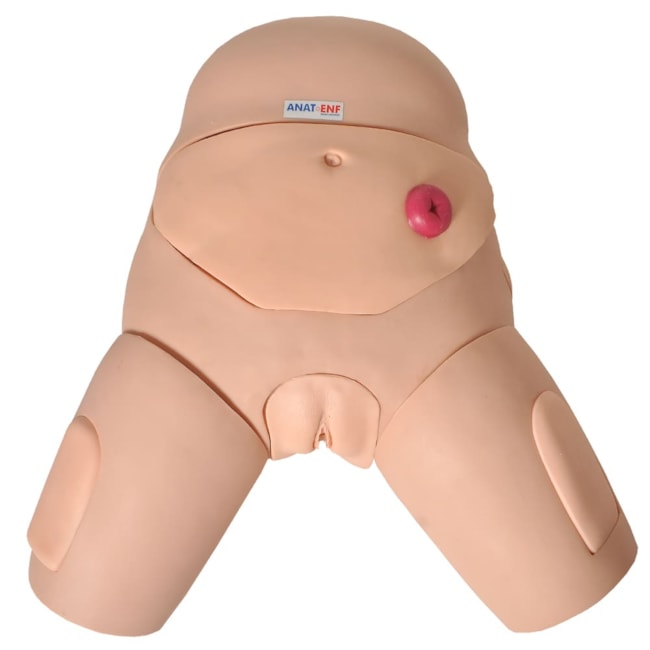 Simulador de Cateterismo Vesical Bissexual, com Dispositivo de Controle e Cuidados com Colostomia-9c61c20e-d167-4209-b9d4-99ada4592847