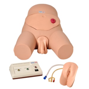 Simulador de Cateterismo Vesical Bissexual, com Dispositivo de Controle e Cuidados com Colostomia