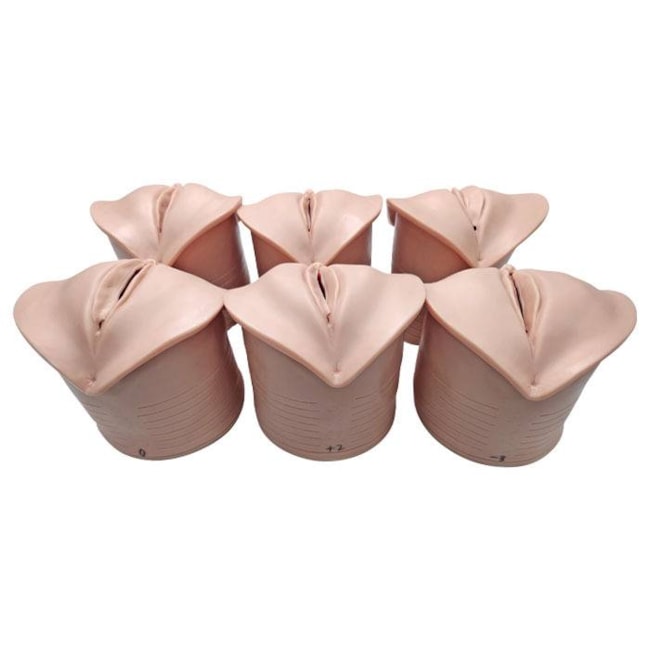 Simulador de Dilatação Cervical para Trabalho de Parto com 6 Peças-6874eaba-4f9e-4a53-b483-fd3a748bf695