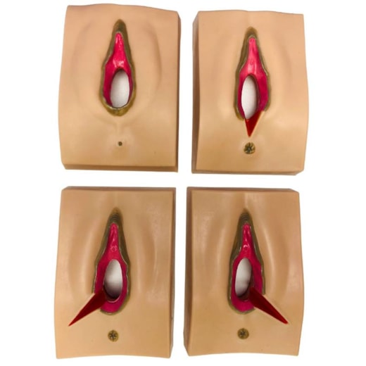 Simulador de Episiotomia para Treinamento Obstétrico - Kit com 4 Unidades