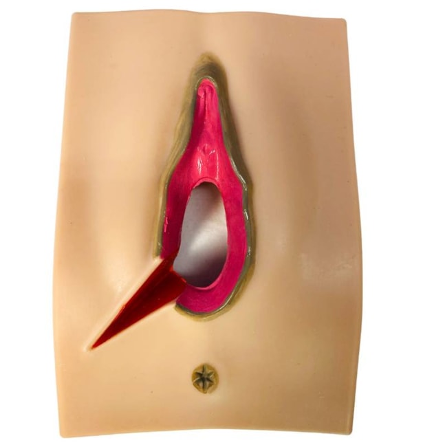 Simulador de Episiotomia para Treinamento Obstétrico - Kit com 4 Unidades-e7a6c080-2aff-491e-90ad-b507601fbc41