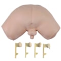 Simulador de Exame de Próstata-9a8acd96-1abe-41d3-9603-7de79327691d
