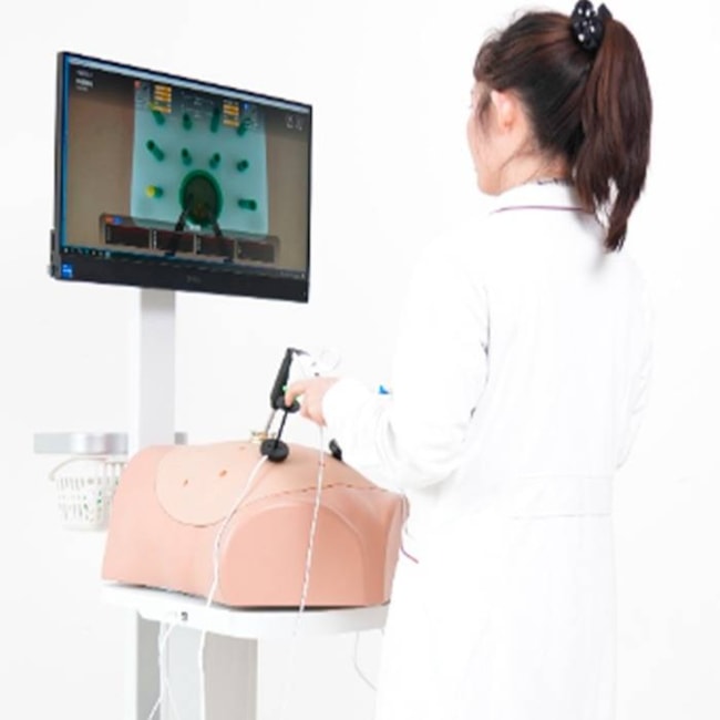 Simulador de Habilidades e Técnicas Cirúrgicas em Videolaparoscopia-56386de4-0bed-49bc-9f64-52142d068d97