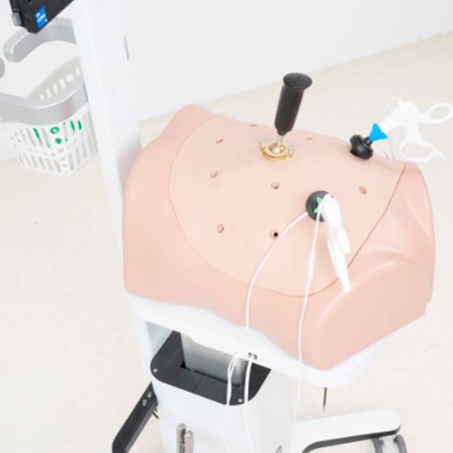 Simulador de Habilidades e Técnicas Cirúrgicas em Videolaparoscopia-88c4147a-abef-4788-8bbc-ecbc67fd9c9f