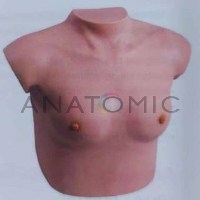 Simulador de Mama para Treinamento Avançado de Inspeção e Palpação-0221a038-976a-4976-9ea2-fee6c7dce7cd