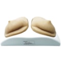 Simulador de Mamas para Exame Clínico e Ultrassonografia Mamária-cf73047b-153c-4356-88a3-194010c828d3