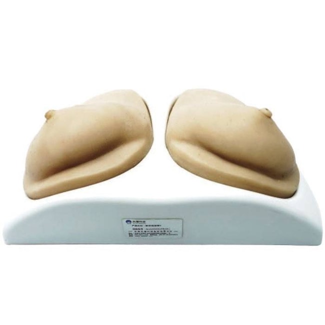 Simulador de Mamas para Exame Clínico e Ultrassonografia Mamária-86268b29-d276-4b17-9899-8614096822b3