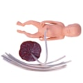 Simulador de Parto com Cervix Episiotomia e Feto com Placenta-cca41d18-8f37-429b-b99f-2c65d8e7150c