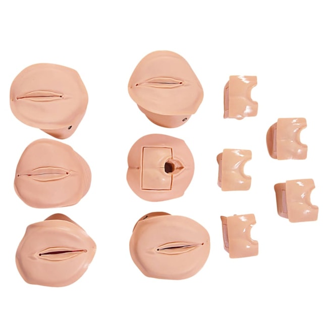 Simulador de Parto com Cervix Episiotomia e Feto com Placenta-463cc821-37bb-486d-90b2-067a44493c37