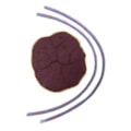 Simulador de Parto com Cervix Episiotomia e Feto com Placenta-56470f3a-8810-494d-b6c9-70b688b23c52