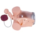 Simulador de Parto com Cervix Episiotomia e Feto com Placenta-d1151637-1c8c-464c-b08a-1cef68d68688