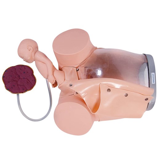Simulador de Parto com Cervix Episiotomia e Feto com Placenta