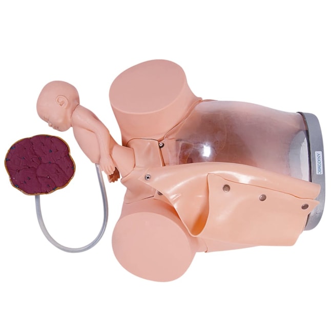 Simulador de Parto com Cervix Episiotomia e Feto com Placenta-83356c1b-cad7-408a-a7d2-a003e5014583