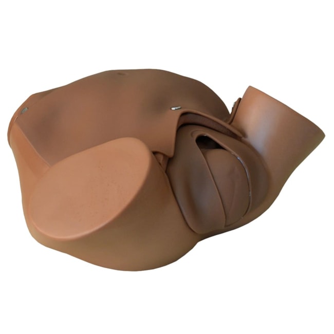 Simulador de Parto Gemelar com Placenta-44bb8966-5077-4696-8914-72de7e655b8a