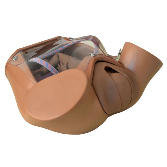 Simulador de Parto Gemelar com Placenta-e44c8744-14af-4556-9f87-29ee4f27de3c