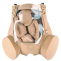 Simulador de Parto Gemelar com Placenta-cd704340-0d99-4201-8fa1-f0b4fbfbd1e3