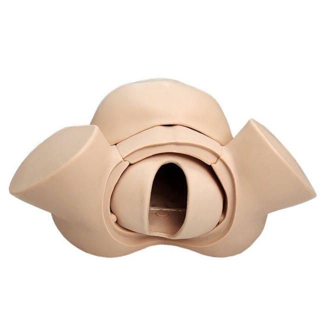 Simulador de Parto Gemelar com Placenta-bef55729-d841-4a6d-bf32-f6c8a0107080