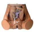 Simulador de Parto Gemelar com Placenta-2b0ead61-9e0a-4b9e-a314-a13698cd73d1
