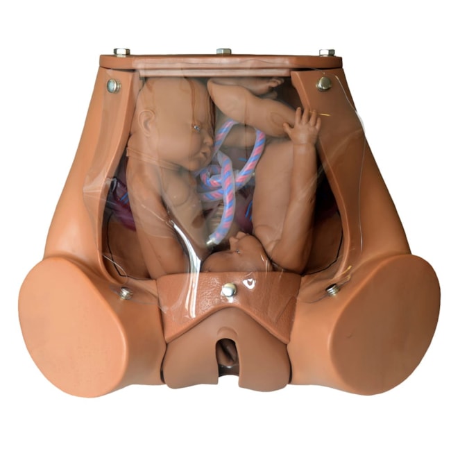 Simulador de Parto Gemelar com Placenta-27a565c3-9d4e-4e2a-9697-e3faf59e4f82