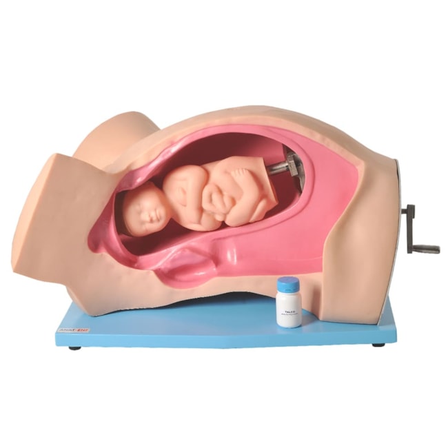 Simulador de Parto Normal com Sistema de Manivela-91b595a8-6b78-4fb4-9663-2e98cf375c40