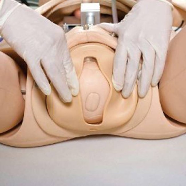 Simulador de Parturiente Avançada para Treinamento Obstétrico e Ginecológico com Software-8bef0840-eedf-4ed6-8957-ae79f67ca110