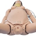 Simulador de Parturiente Avançada para Treinamento Obstétrico e Ginecológico com Software-7bdec495-df2e-41fa-ac34-c1228a0db0c1