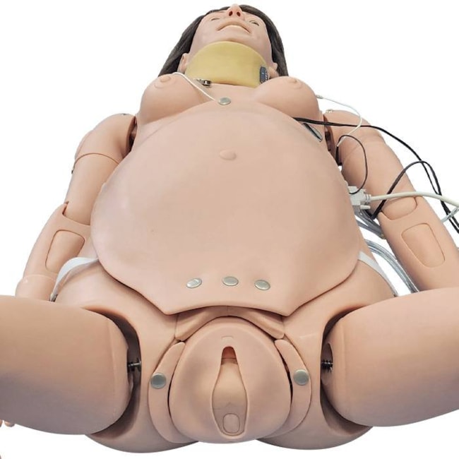 Simulador de Parturiente Avançada para Treinamento Obstétrico e Ginecológico com Software-19b77b60-41ed-41c2-9cb2-1a84a82ebbda