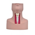Simulador de Traqueostomia-5b8c6435-3873-4c02-9d6d-1c948b792b66