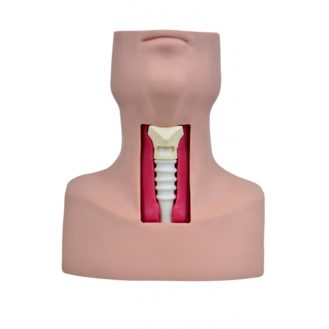 Simulador de Traqueostomia-f6de8742-f3e3-4804-879f-fec9dd7d087d