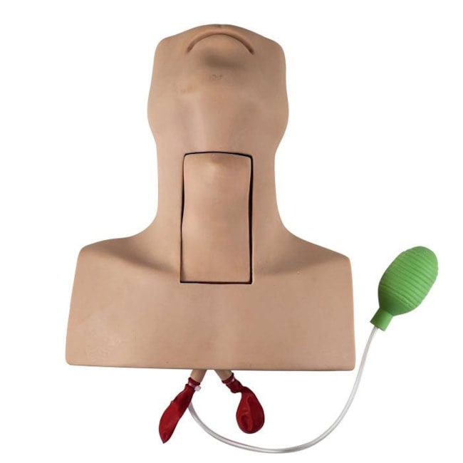 Simulador de Traqueostomia-a333828a-4cfc-42bc-938f-53e1a6a7e78e